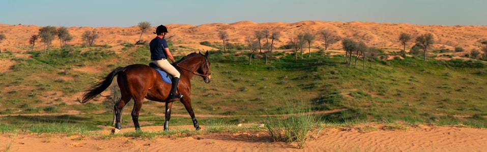 Centro de Aventura Ecuestre de Al Wadi