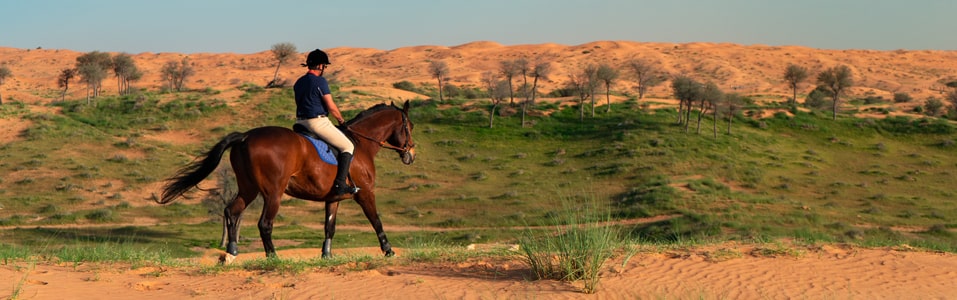 Al Wadi Equestrian Adventure Centre