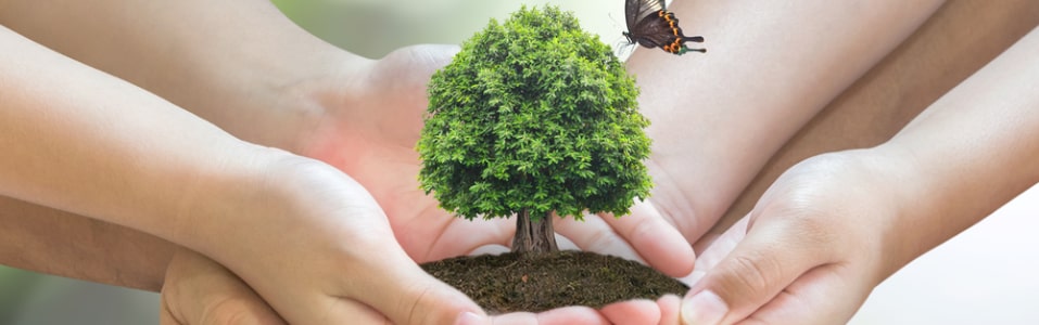 What is the Importance of Ecotourism in the Travel Industry?