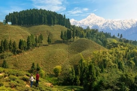 Darjeeling