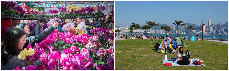 What's the Best Time to Visit Hong Kong?