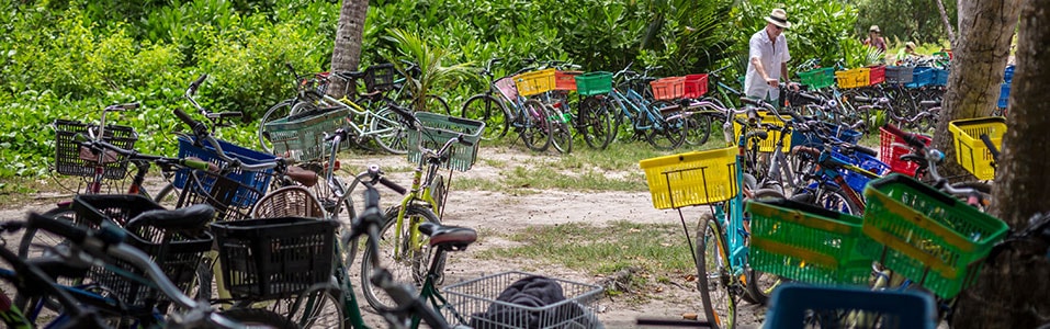 Modes of Transport - Bicycles