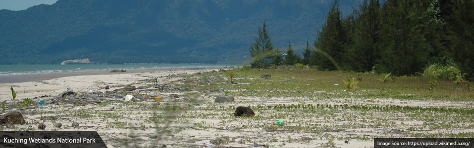 Kuching Wetlands National Park