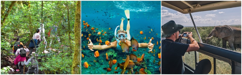 What is Ecotourism?