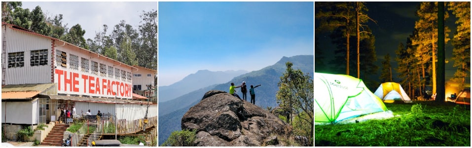 Aromatic tea tasting at Tea Museum And Kotagiri Trek