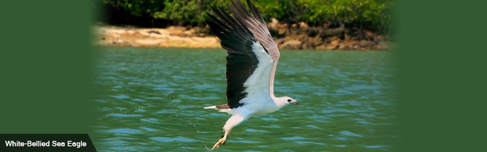 Meaning of Langkawi and its various names through history