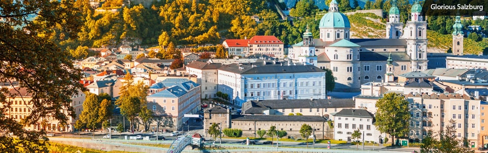 Overview