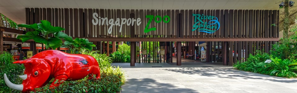 Singapore Zoo