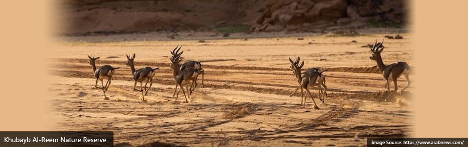 Khubayb Al-Reem Nature Reserve