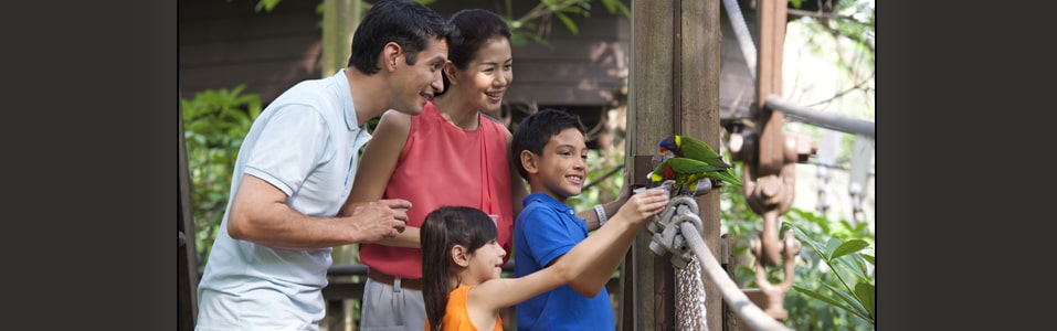 Jurong Bird Park