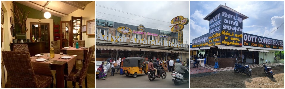 Place to Bee, Adyar Ananda Bhavan And Ooty Coffee House