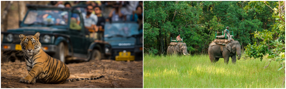 India's Top-Demand Ecotourism Destinations