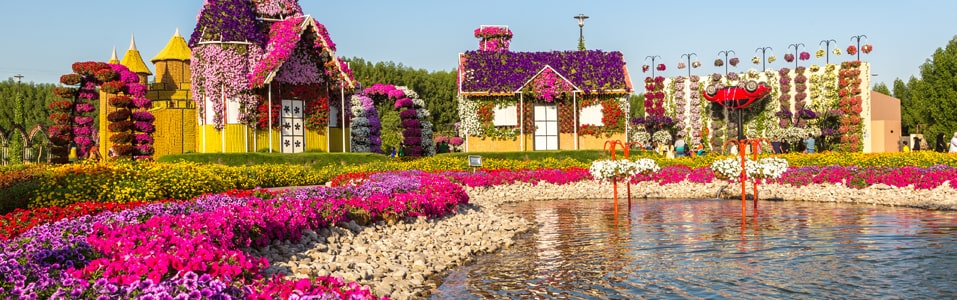 Dubai Miracle Garden