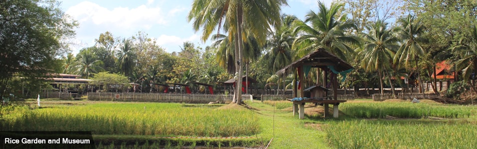 Laman Padi – Rice Garden and Museum (For Families)
