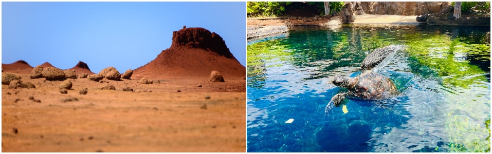 Garden of the Gods And Maui Ocean Center