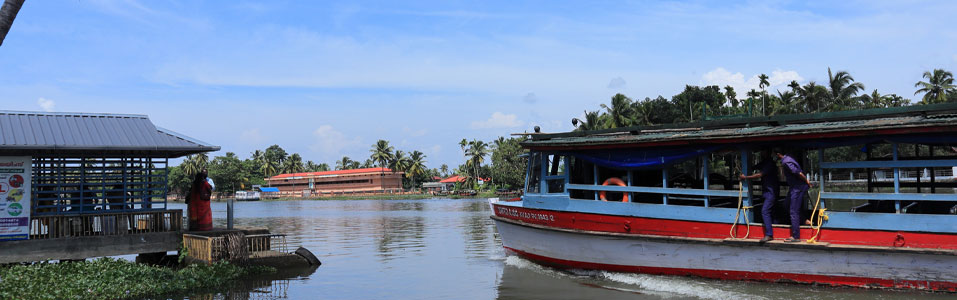 Things to do in Kochi