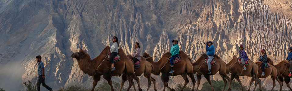 Things to do in Ladakh