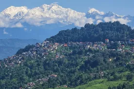 Darjeeling Specialist