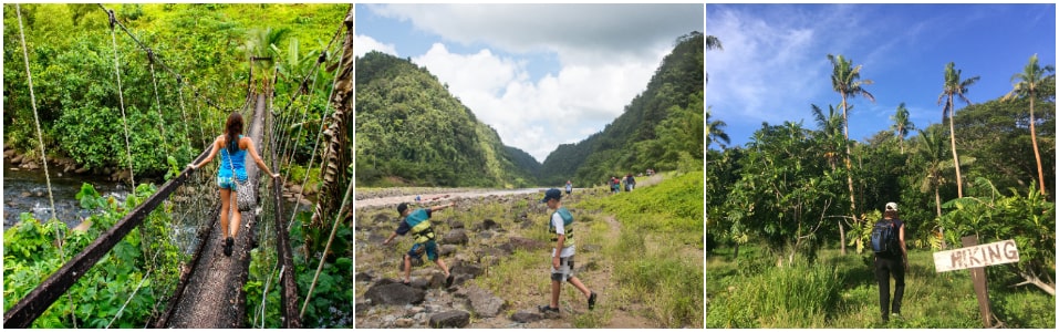 Hiking at Colo-I-Suva Forest Park