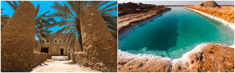 Bundling Options contd.