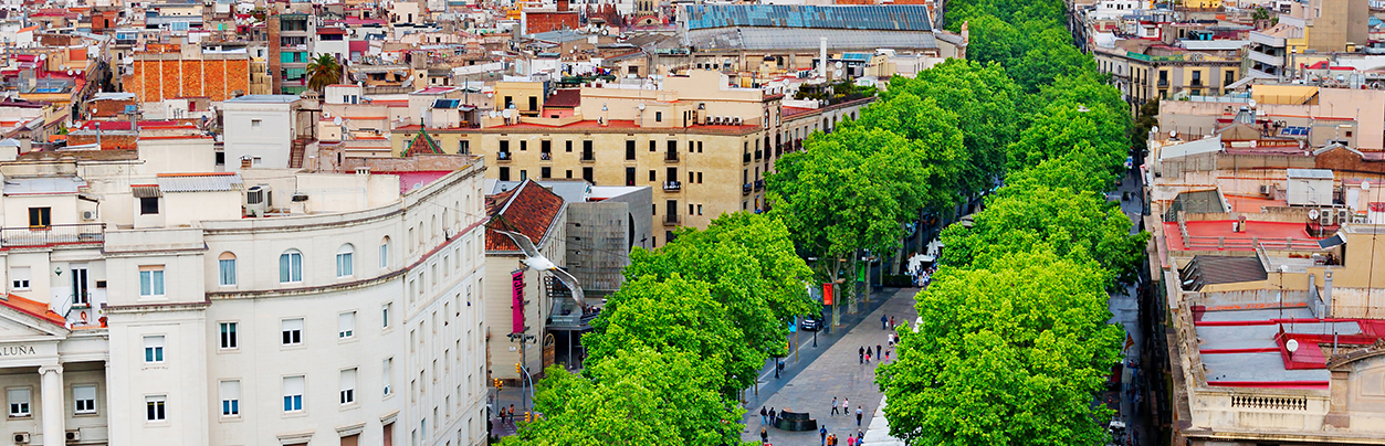 La Rambla: Where All the Society Comes Together