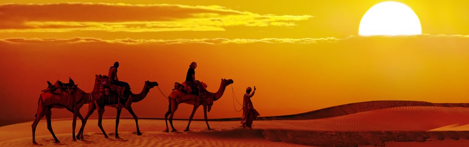 Things to Do in Jaisalmer