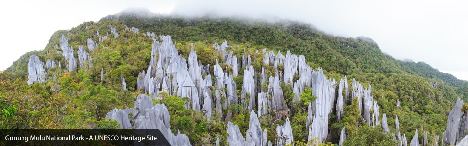 Sarawak Location, Geography and Climate