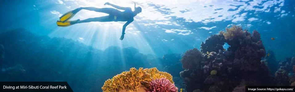 Miri-Sibuti Coral Reef National Park