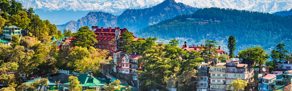 Shimla