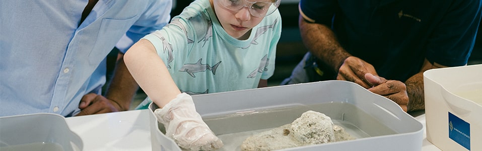 Marine Discovery Centre