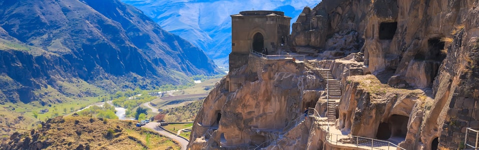 نظرة عامة على فاردزيا
