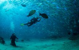 Top Itineraries