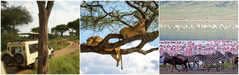 7-Day Itinerary of Tanzania