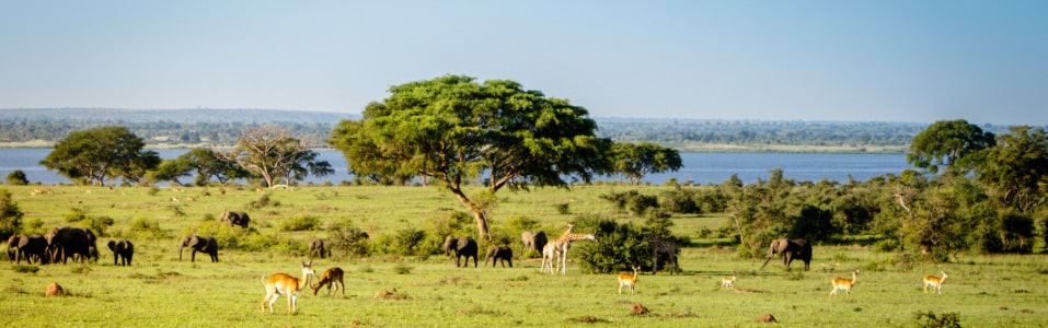 Climate of Tanzania