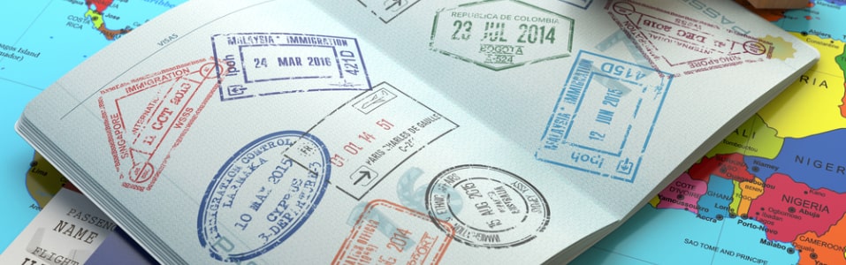 Travel History & Patterns