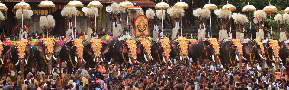 THINGS TO DO in THRISSUR