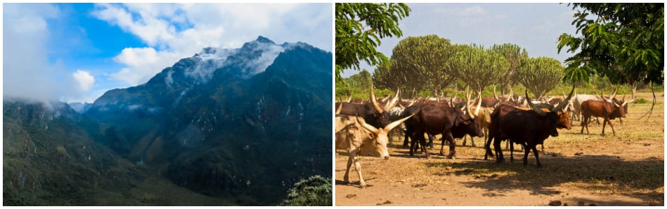 Places to see in Uganda