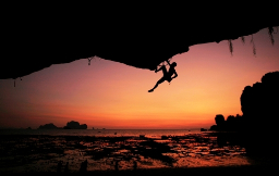 Top Itineraries