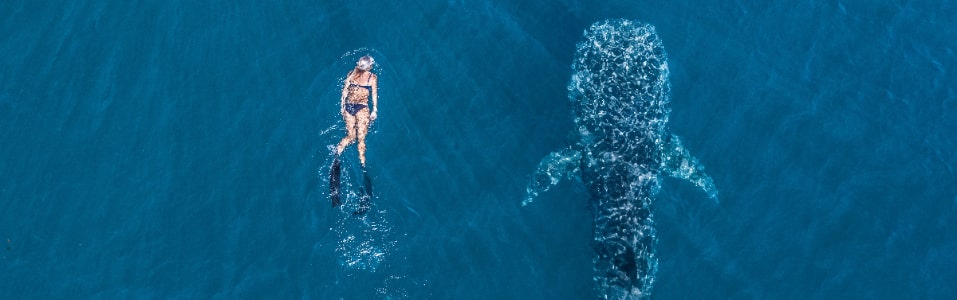 Ningaloo Reef and the Coral Coast