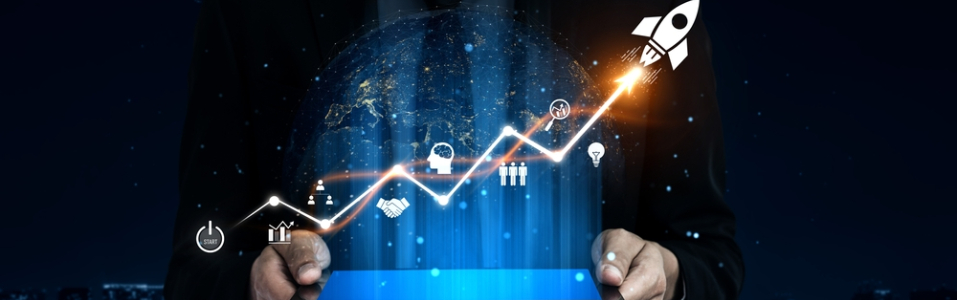 Module 8: Managing Profitability and Long-Term Growth