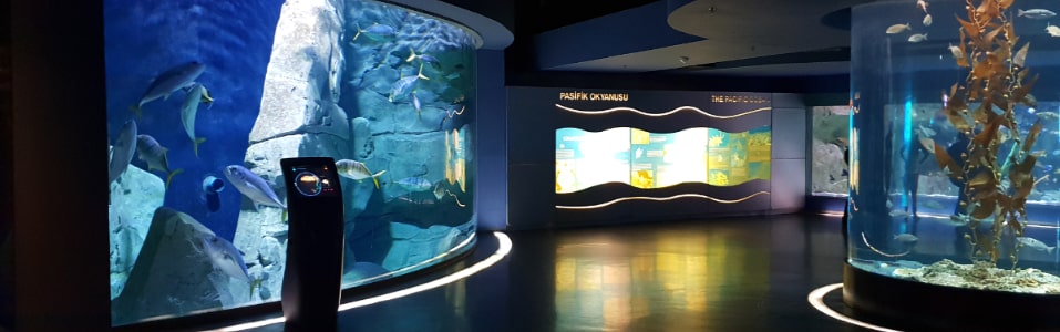 Aquarium and Zoo