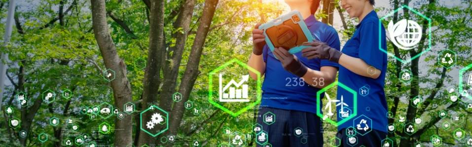 Agent Margins & Commercial Structure