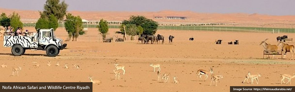 Nofa African Safari and Wildlife Centre Riyadh