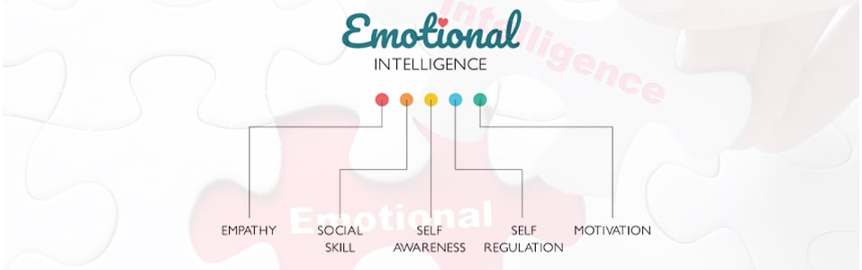 What is Emotional Intelligence?