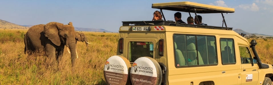 What's the Best Time to Visit Tanzania?