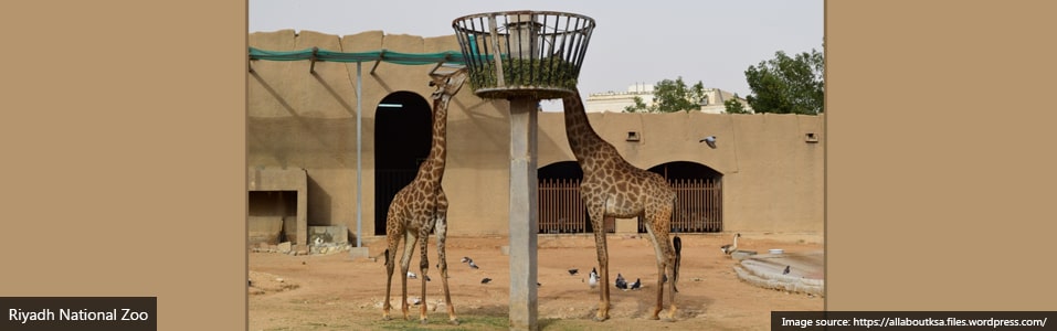 Riyadh National Zoo