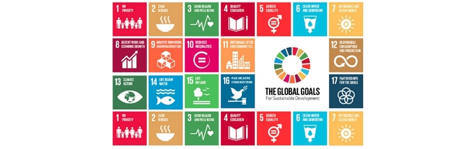 Sustainable Development Goals